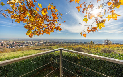Exkluzívna VILA s panoramatickým výhľadom vo Svätom Jure - 5 izbová s terasou, átriom, krbom a pozemkom 6 616 m2