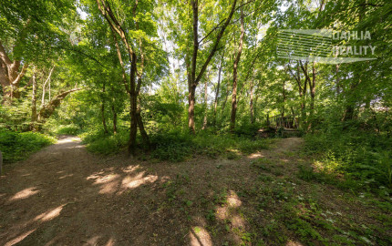 Predaj víkendový rodinný dom so stodolou + samostatný ateliér/posilňovňa + záhrada, pozemok celkom 2 699 m2 Vištuk