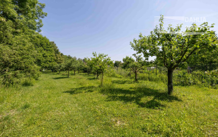 Predaj víkendový rodinný dom so stodolou + samostatný ateliér/posilňovňa + záhrada, pozemok celkom 2 699 m2 Vištuk
