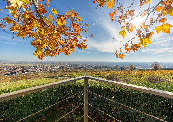 Exkluzívna VILA s panoramatickým výhľadom vo Svätom Jure - 5 izbová s terasou, átriom, krbom a pozemkom 6 616 m2