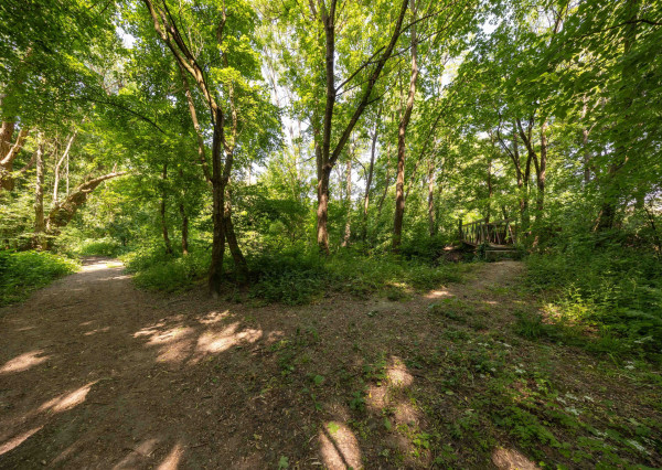 Predaj víkendový rodinný dom so stodolou + samostatný ateliér/posilňovňa + záhrada, pozemok celkom 2 699 m2 Vištuk