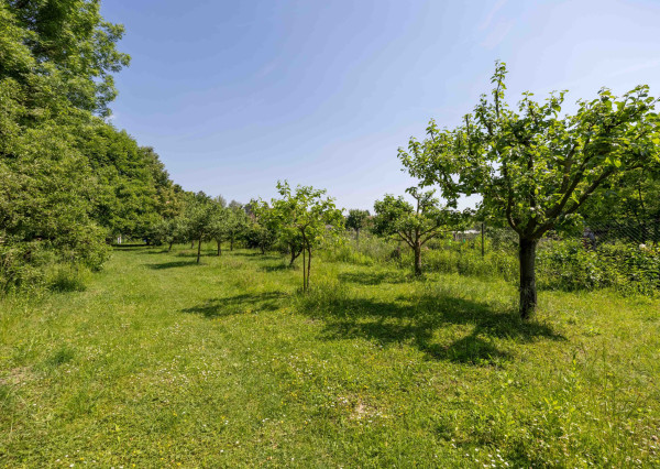 Predaj víkendový rodinný dom so stodolou + samostatný ateliér/posilňovňa + záhrada, pozemok celkom 2 699 m2 Vištuk